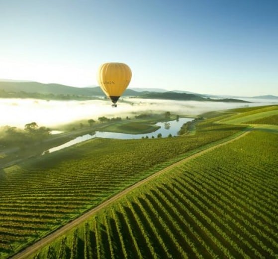 Hot Air Balloons