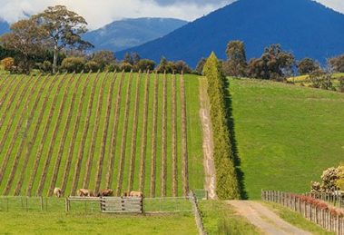 Winery Accommodation