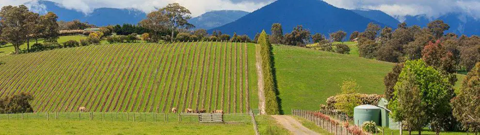 Winery Accommodation