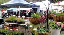 Upper Yarra Community Market