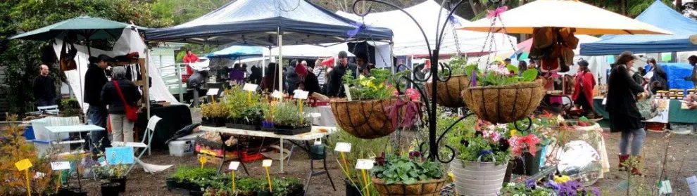 Upper Yarra Community Market