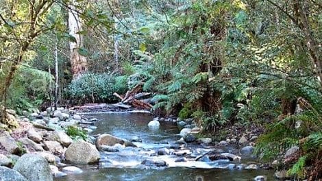 Badger Creek