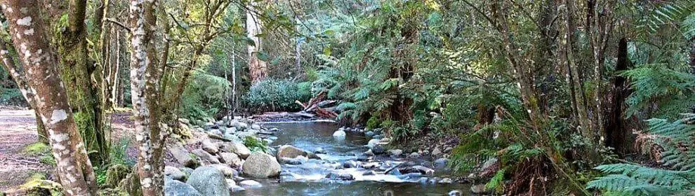 Badger Creek