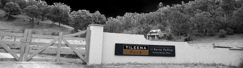 Yileena Park