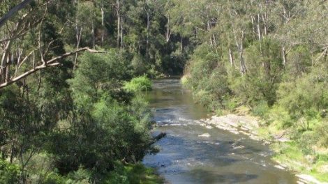 Little Yarra River