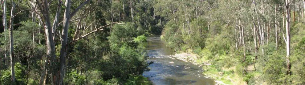 Little Yarra River