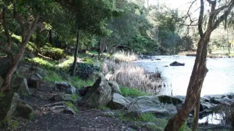 Yarra River Walk