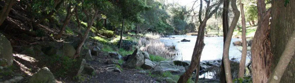 Yarra River Walk