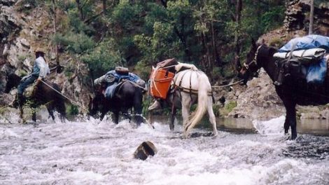 Bicentennial National Trail