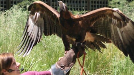 Healesville Sanctuary