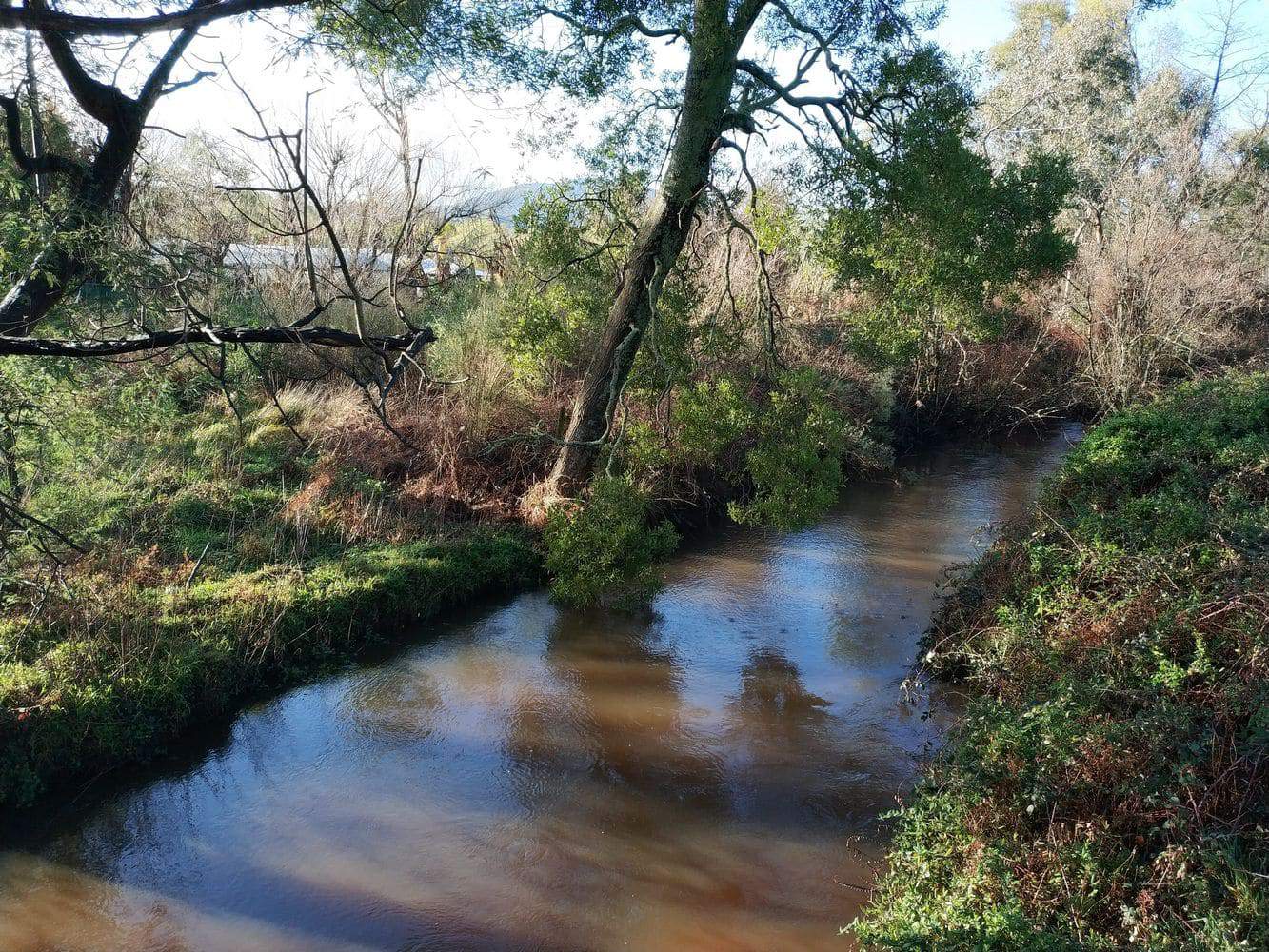 Little Yarra River - Fishing, Powelltown to Launching Place