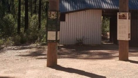 Kinglake National Park