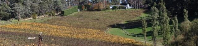 5 Best Small Winery Experiences Of The Yarra Valley