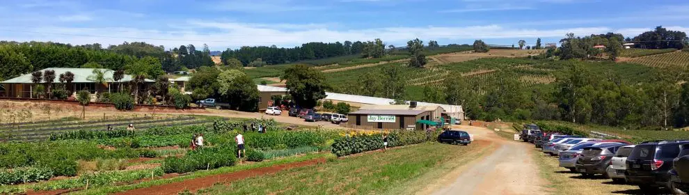 Jay Berries Farm Market