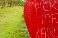 yarra ranges tourist attractions Kanzi U-Pick